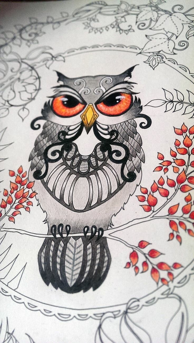 Раскрашенные раскраски сова