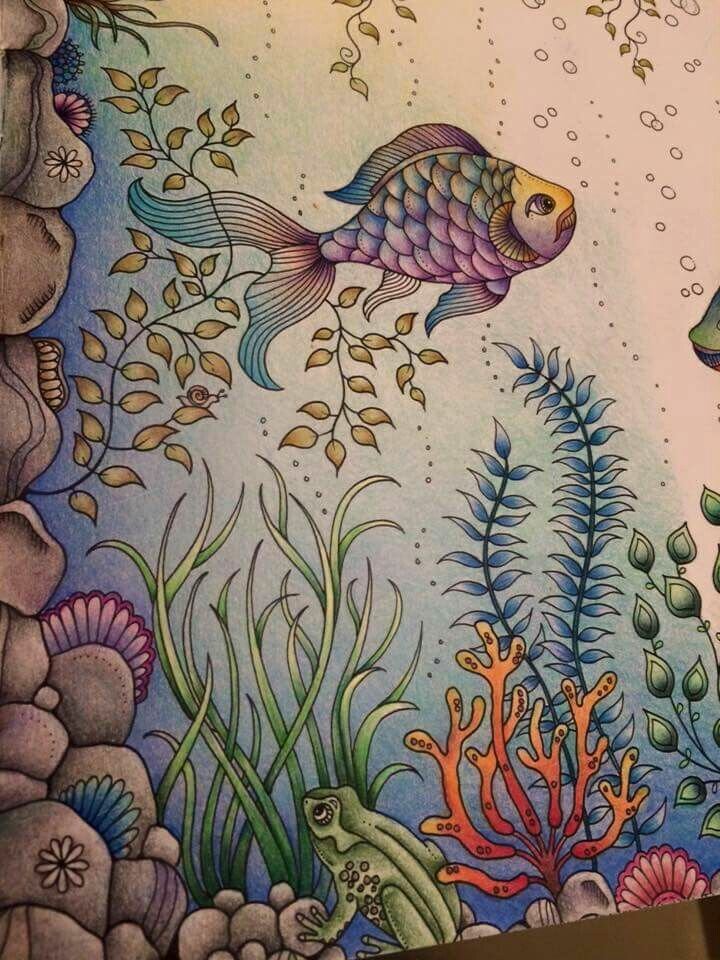 Раскрашенные раскраски рыбки