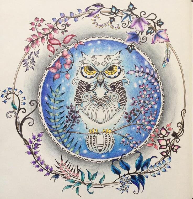 Раскрашенные раскраски сова