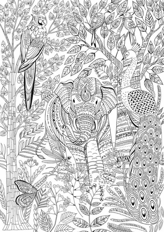 раскраска антистресс слон павлин попугай