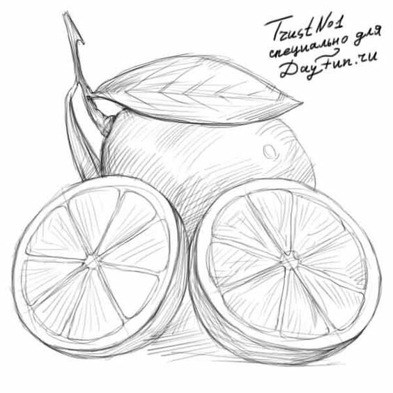 Картинки для срисовки карандашом красивые